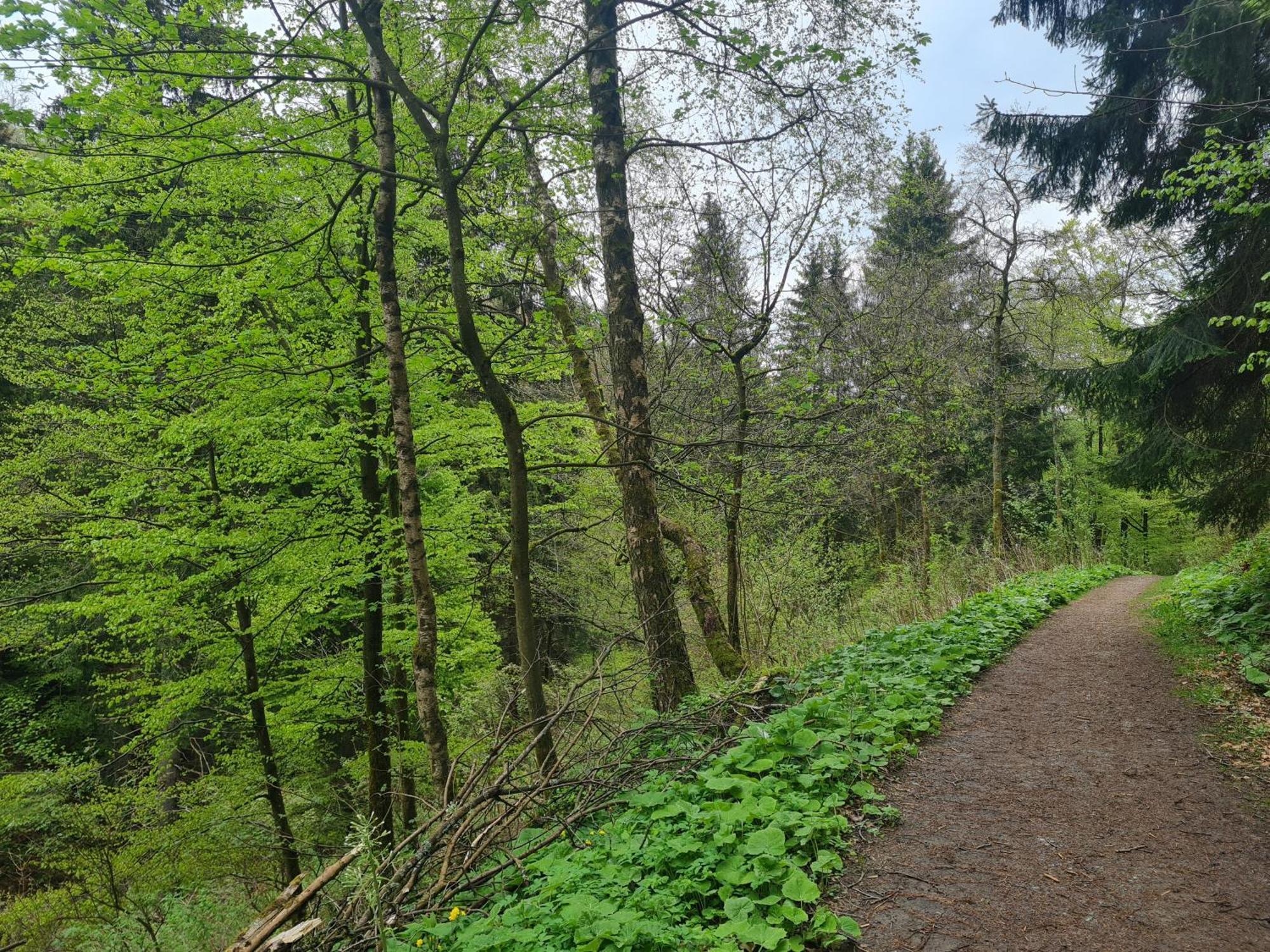 Bergkultur Sauerland *